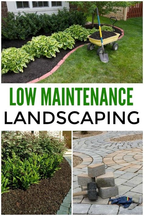 Low Maintenance Landscaping Ideas Layout, Garden Design, Shaded Garden, Garden Landscaping, Landscape Edging, Outdoor Landscaping, Landscape Ideas Front Yard Curb Appeal, Outdoor Gardens, Yard Landscaping