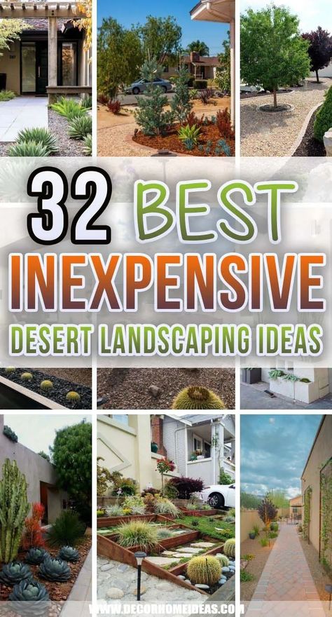 32 Inexpensive Desert Landscaping Ideas For a Perfect Drought-Tolerant Garden | Decor Home Ideas Back Garden Landscaping, Garden Landscaping, Gardening, Design, Layout, Landscaping Ideas, Backyard Landscaping, Backyard Landscaping Designs, Desert Landscaping Backyard