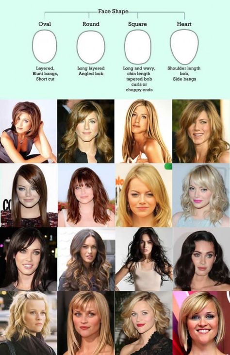Finding The Right Hairstyle To Suit Your Face Shape | HubPages New Hair, Hairstyle, Ombre, Hair Guide, Face Shapes Guide, Different Hairstyles, Face Shape Hairstyles, Haircut For Face Shape, Which Hairstyle Suits Me