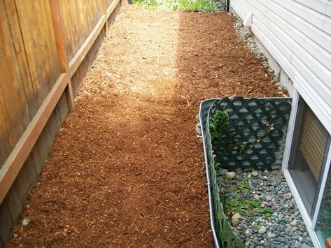 How to Remove and Prevent Weeds From Growing in Your Yard - Dengarden Ideas, Outdoor, Design, Gardening, Mulch Landscaping, How To Dry Basil, Gardening Tips, Diy Landscaping, Egress Window