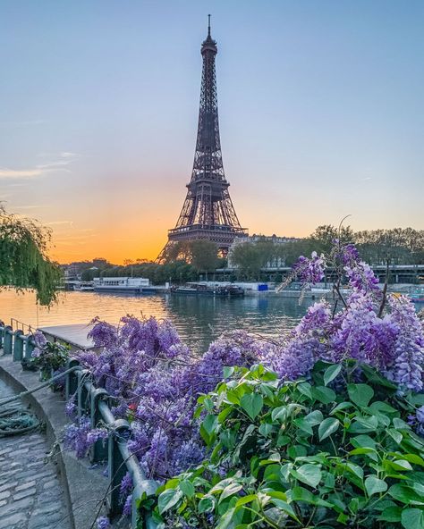 Paris, Places, Harry Potter, The Secret, Nature, Travel, Visit Paris, Places To Visit, Paris Wallpaper