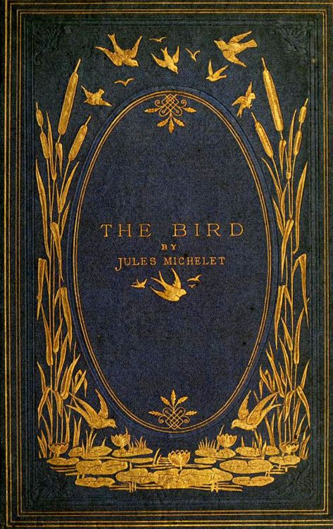 starrydiadems:The Bird by Jules Michelet (1869).