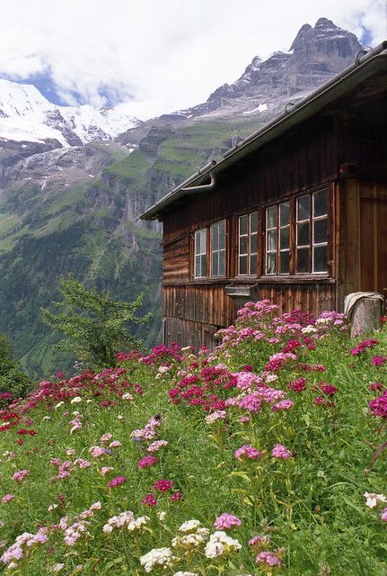 Bonito, Beautiful, Resim, Fotos, Alpen, Fotografie, Fotografia, Beautiful Nature, Amazing