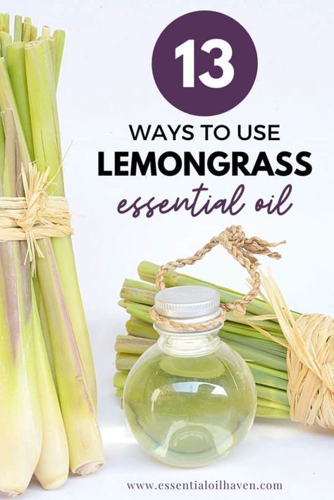 Using Lemongrass essential oil is almost a daily practice for me. I love this oil! If you'd like to learn more ways to use your bottle of Lemongrass, I have just the information for you! Start here to learn all of the amazing benefits and uses of Lemongrass essential oil. #lemongrass #lemongrassuses #essentialoils #essentialoilhaven Essential Oils, Essential Oil Blends, Lemongrass Essential Oil Uses, Lemongrass Essential Oil, Essential Oils For Skin, Oils For Skin, Lemongrass Oil, Citrus Oil, Diffuser Blends