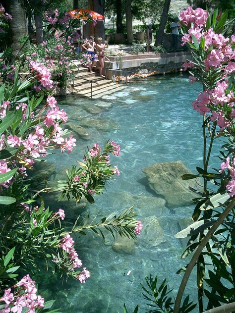 Nature, Beautiful Gardens, Pool, Pools Aesthetic, Garden Pool, Pool Aesthetic, Magical Places, Dream Garden, Pretty Garden