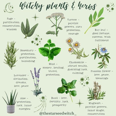 Gardening, Herbs, Healing Herbs, Healing Plants, Witchcraft Herbs, Herb Meanings, Medicinal Herbs, Wicca Herbs, Plant Meanings