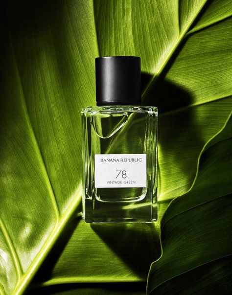 20 Product Photography Backdrops You Should Try in 2021 Perfume, Eau De Cologne, Fragrance, Fragrance Photography, Perfume Bottles, Cosmetics, Photography Products, Cologne, Cosmetic Design