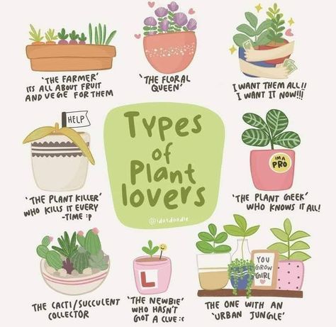 Diy, Instagram, Gardening, Plant Care Houseplant, Household Plants, Plant Care, Plant Mom, Plants Are Friends, Plant Therapy