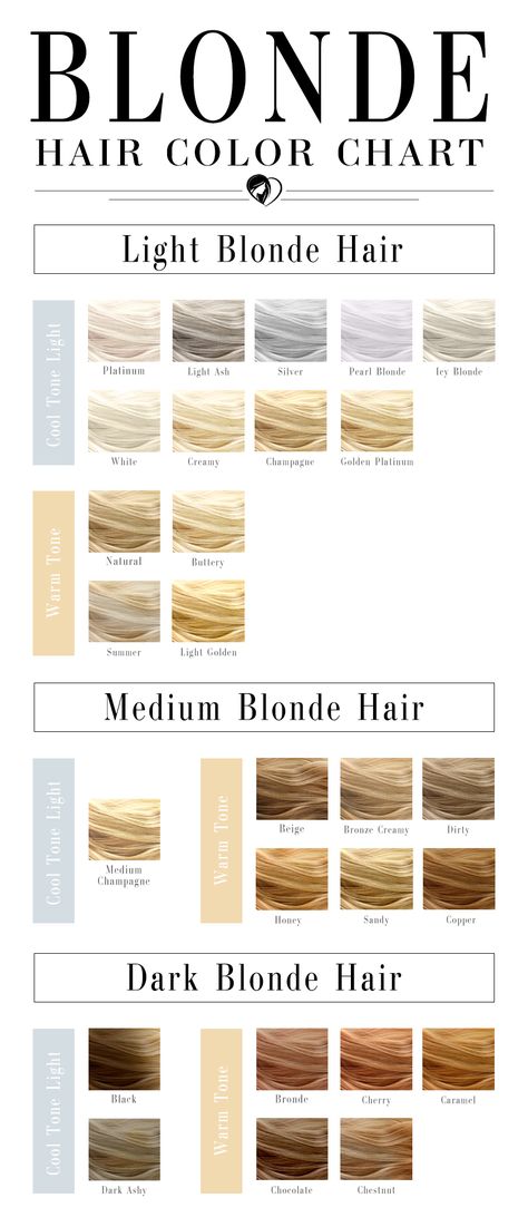 Platinum Blonde Hairstyles, Blonde Tones Chart, Blond Hair Colors, Blonde Hair Palette, Best Blonde Hair, Different Blonde Shades, Blonde Hair Colors, Blonde Hair Levels, Natural Ash Blonde Hair
