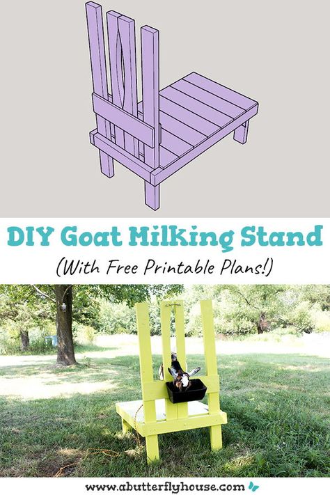 These DIY goat milking stand plans are easy and inexpensive. Includes full photo tutorial with free printable plans! #homesteading #diyproject Gardening, Diy, Ideas, Cowgirls, Diy Furniture Plans, Goat Milking Stand, Goat Feeder, Diy Outdoor, Goat Shelter
