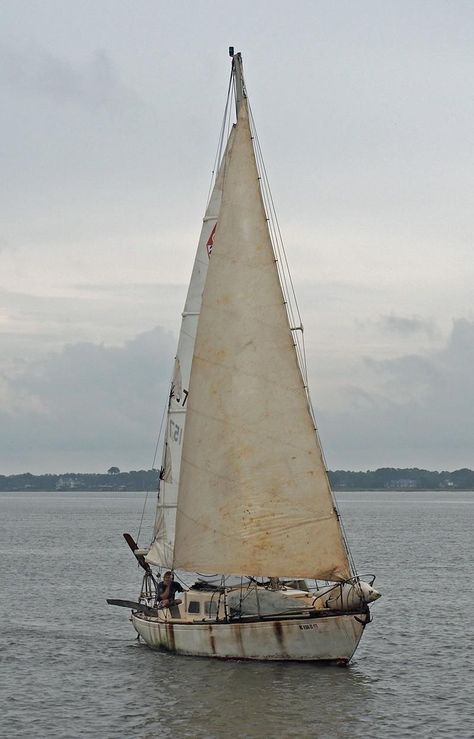 Charleston Sc, Classic Yachts, Sailing Yachts, Classic Sailing, Sailboat Living, Yacht, Yacht Model, Yacht Boat, Sail World