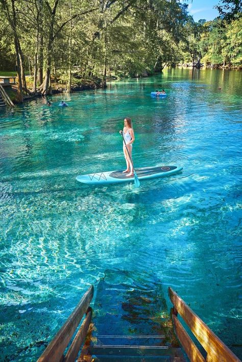 Tips For Ginnie Springs: A Perfect Florida Oasis - Florida Trippers Fotografia, Turismo, Bon Voyage, Bright, New York, Aventura, Voyage, Lagos, Floride