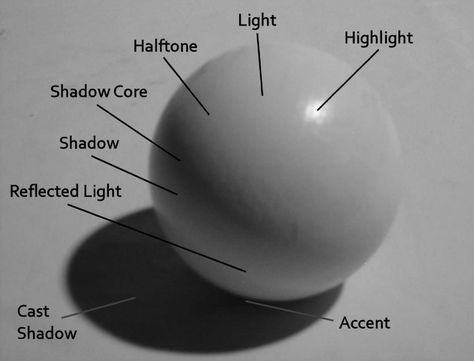 Basic chiaroscuro various ways light is reflected off an object highlight,light,halftone,shadow care,shadow,reflected light,cast shadow, accent Elements Of Art, Painting & Drawing, Ombre, Graphic Design, Light And Shadow, Basic, Art Basics, Art Tips, Art Studies