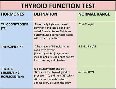 Thyroid Nclex, Thyroid Function Tests, Thyroid Test, Thyroid Function, Thyroid Nursing, Thyroid, Endocrine System, Liver, Phlebotomy