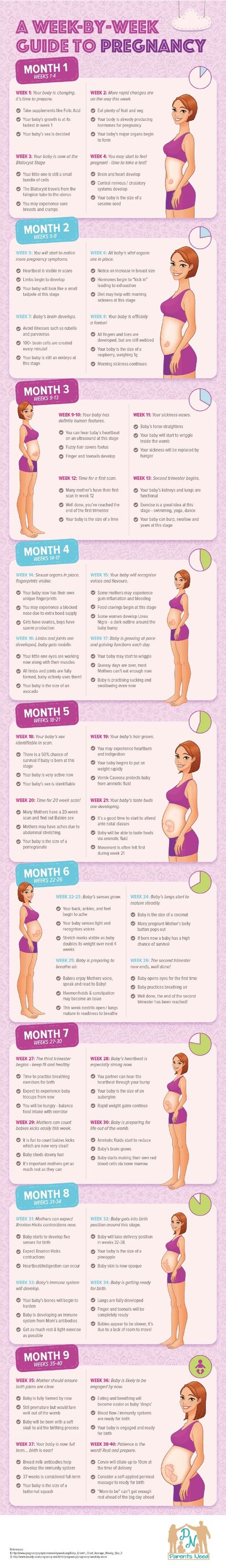 Fitness, Pregnancy Workout, Breastfeeding, Pregnancy Health, Stages Of Pregnancy, Pregnancy Guide, Pregnancy Info, Pregnancy Months, Pregnancy Stages