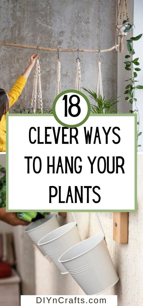 Create more space for beautiful blooms in your home with these 18 hanging planter ideas. Find easy DIY ideas and clever home hacks. Terrariums, Ideas, Hanging Planters, Diy Plant Hanger, Diy Plant Hanger Easy, Hanging Plants Diy, Hanging Plant Diy, Diy Hanging Planter, Hanging Plant Holder