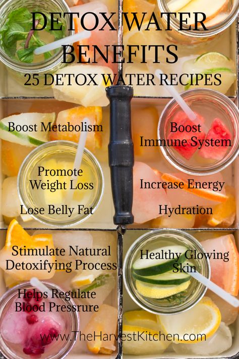 Infused Water, Healthy Water Recipes, Detox Water Benefits, Fruit Infused Water Recipes, Flavored Water Recipes, Harvest Kitchen, Wellness Plan, Natural Detox Drinks, Water Benefits