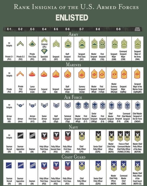 RANK STRUCTURE AND INSIGNIA OF ENLISTED MILITARY PERSONNEL - ALL BRANCHES OF US MILITARY SERVICE: United States Armed Forces, Military Ranks, Us Military Branches, United States Military, Military Insignia, Military Service, Us Navy, Us Military, Military Records