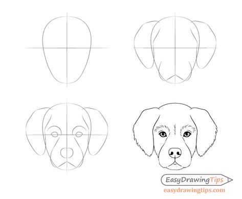 Doodles, Dog Drawing Tutorial, Dog Drawing Simple, Dog Drawing, Dog Face Drawing, How To Draw Dogs, Dog Face, Animal Sketches, Draw Animals