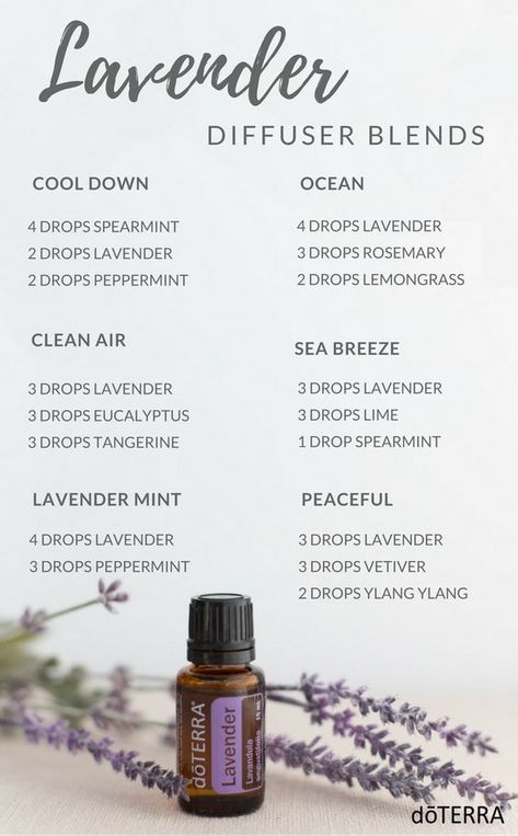 Awaken Yourself about the 7 LAVENDER Oil BENEFITS. LAVENDER Do It Yourself Recipes Lavender Diffuser Blends Essential Oils, Perfume, Lavender Essential Oil Uses, Lavender Diffuser, Lavender Oil Benefits, Essential Oil Diffuser Blends Recipes, Essential Oil Blends Recipes, Essential Oils Aromatherapy, Essential Oil Diffuser Blends