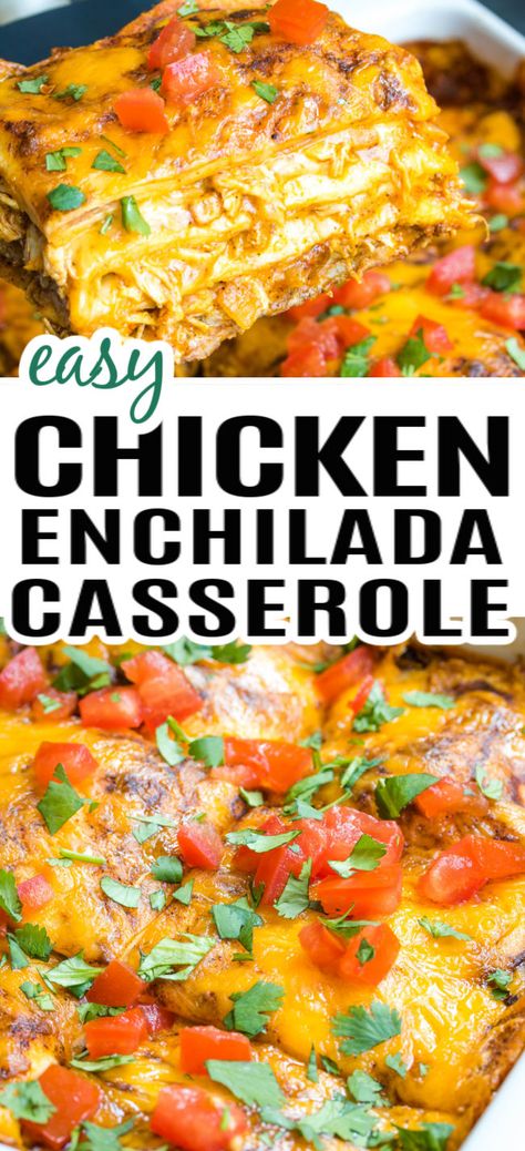 A baking dish with chicken enchilada casserole in a baking dish, topped with cilantro and tomatoes. Enchiladas, Casserole, Easy Chicken Enchilada Casserole, Chicken Enchilada Casserole, Cheesy Chicken Enchiladas, Easy Chicken Enchiladas, Chicken Enchilada Casserole Recipe, Chicken Enchilada Bake, Shredded Chicken Enchiladas