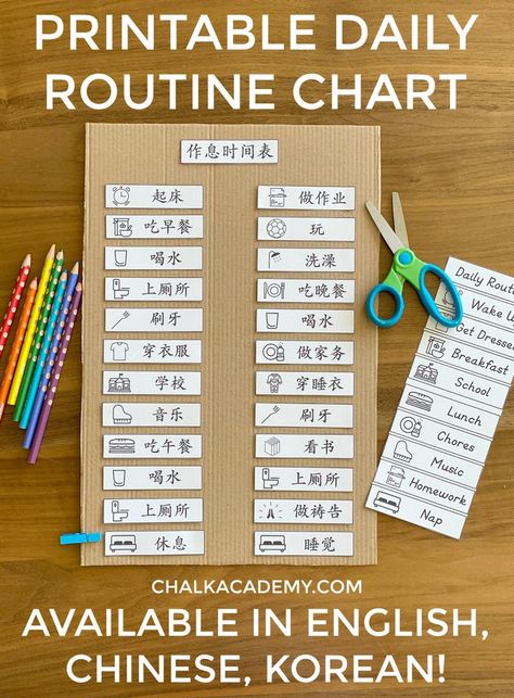 Visual Daily Routine Chart for Kids in English, Chinese, Korean (Printable) Diy, China, Daily Schedule Kids, Daily Routine Chart For Kids, Daily Routine Chart, Routine Chart, Teacher Lesson Plans, Learning Activities, Charts For Kids