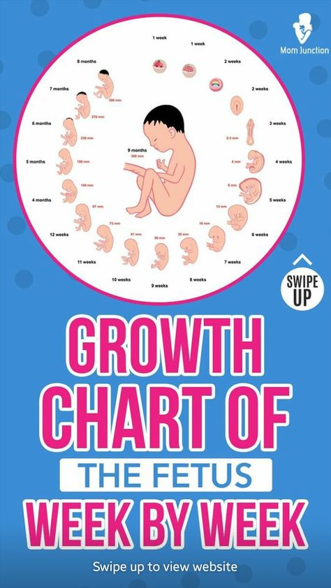 Crochet, Baby Weight Chart, Baby Growth In Womb, Fetal Growth Chart, 9 Week Fetus, Baby Growth Chart, Pregnancy Care, Fetus Growth Chart, Fetal Development