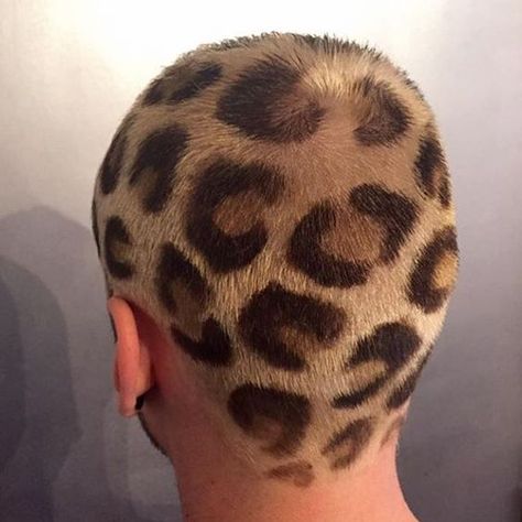 Leopard Print Hair New Hair, Balayage, Cheetah Print Hair, Shaved Head Designs, Shaved Head, Shaved Hair Designs, Cheetah Hair, Shaved Hair, Buzzed Hair