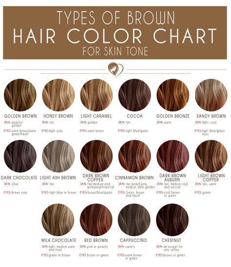 Medium Brown Hair Color Chart #brunette #brownhair  Capuchino  and Chestnut Balayage, Strawberry Blonde, Types Of Brown Hair, Golden Brown Hair, Brown Hair Shades, Hair Color Shades, Brown Hair Colors, Medium Brown Hair Color, Hair Shades