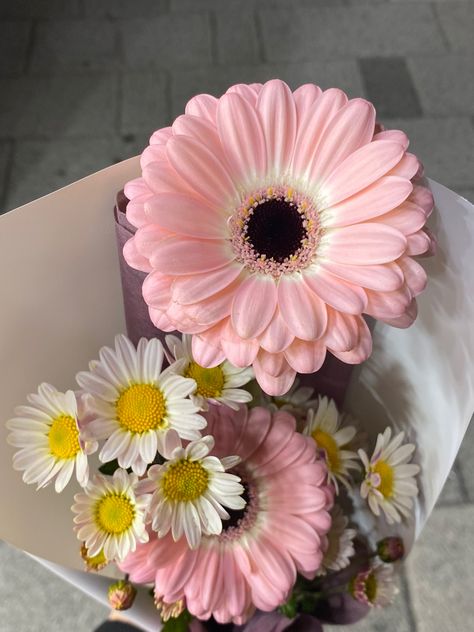 Bouquets, Flowers, Flower Pots, Pink Flowers, Flowers Bouquet, Pretty Flowers, Flower Lover, Flower Aesthetic, Little Flowers