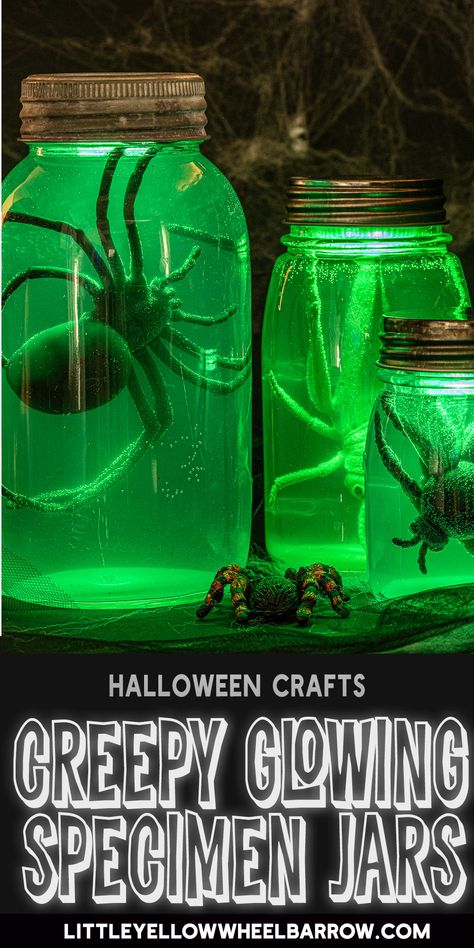 Make these light-up Halloween specimen jars, fast! With just a few materials and a couple easy steps you can make this easy Halloween craft project for your mad scientist's lab. We found remote-controlled LED lights that work under water, and even changed colours, and they really make this Halloween project pop! Halloween Specimen Jars Diy, Halloween Specimen Jars, Halloween Jars Creepy, Halloween Jars Ideas, Halloween Jars Diy, Diy Halloween Jars, Halloween Crafts Decorations, Halloween Jars, Homemade Halloween Decorations