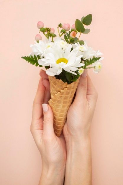 Ice cream cone with flowers Free Photo Cream, Floral, Flowers, Sweet, Bloemen, Beautiful Flowers, Photo, Flores, Flower Ice