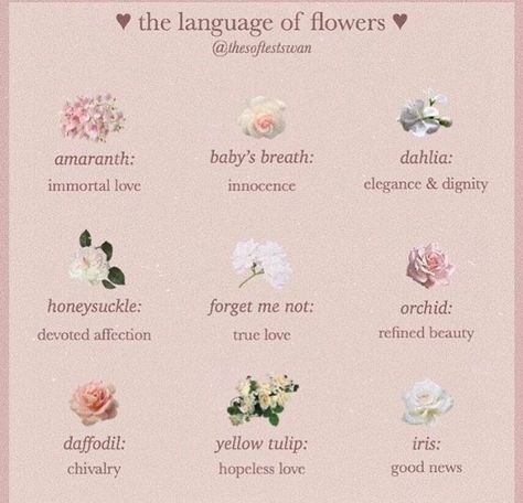 Bouquets, Flowers, Wicca, Pink, Flower Meanings, Flower Names, Ethereal Meaning, Flower Power, Yellow Tulips