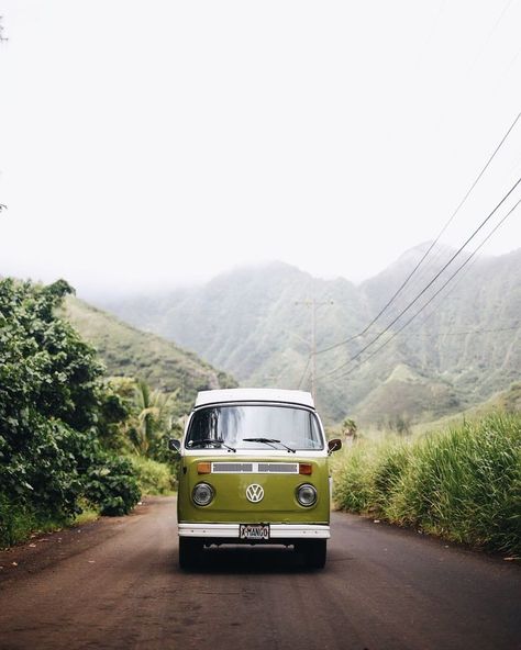 Vintage VW Bus | Green VW Camper Van | Hanahou Campers | Rent a Vintage VW Bus on Oahu | Travel Guide to Oahu via @elanaloo + elanaloo.com Vintage, Boho, Retro, Fotos, Inspo, Fotografie, Fotografia, Tan, Bon Voyage