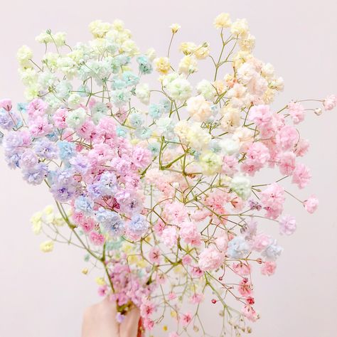 Instagram, Pastel, Cute Wallpapers, Bloemen, Flower Aesthetic, Pink Aesthetic, Fotos, Soft Pastel, Bunga Tulip