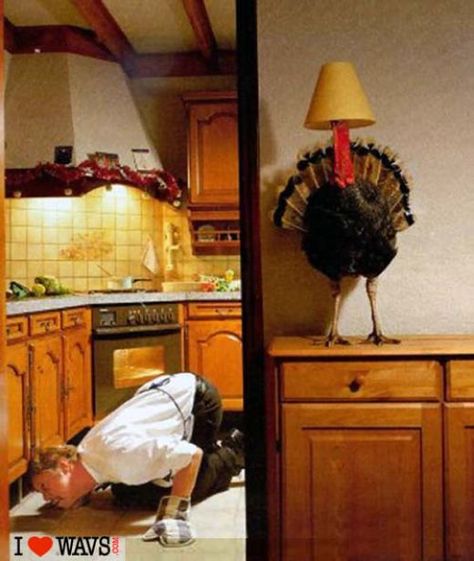 turkey hiding under lamp Humour, Natal, Thanksgiving, Thanksgiving Turkey Pictures, Thanksgiving Turkey, Funny Turkey, Funny Thanksgiving Pictures, Thanksgiving Jokes, Thanksgiving Quotes