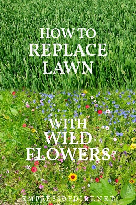 One option to make your yard more pollinator-friendly is to replace areas of grass lawn with low-growing wildflower seed mixes. Ideas, Design, Beautiful, Flores, Modern, Gras, Tips, Jardim, Wild Flowers