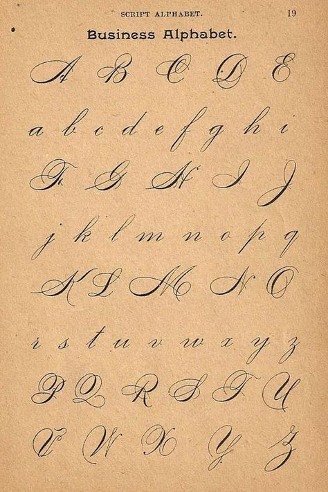 1890s Calligraphy Print Page Capital Letters by forloveofold, $10.00 "Letting Alphabet Designs": Letters, Capital Letters, Script Alphabet, Fonts Alphabet, Calligraphy Alphabet, Calligraphy Fonts, Calligraphy Letters, Calligraphy, Calligraphy Handwriting