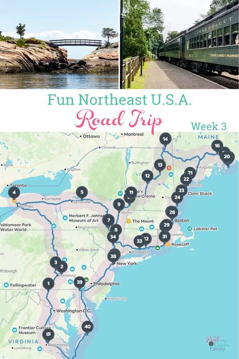 Snorkelling, Wanderlust, Trips, Boston, Humour, Destinations, Life Hacks, Camping, East Coast Road Trip