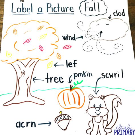 Labeling Pictures in Kindergarten & Beyond Ideas, English, Reading, Anchor Charts, Labeling Kindergarten, Labeling Activities, Fall Writing Kindergarten, Fall Kindergarten Activities, Labeling Writing