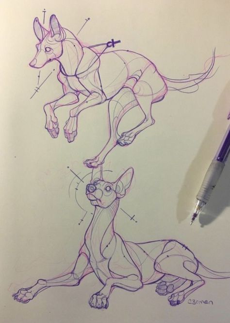 c3rmen on Twitter: "flashback to some old sketches off photos… " Canine Reference Photo, Dog Art Reference, Hound Dog Drawing, Hound Drawing, Dog Drawing Reference, Pharaoh Art, Dog Sketches, Dog Drawing Tutorial, Old Sketches