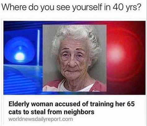 Funniest Memes of the Day ~ Funny news story cat lady elderly woman accused of training cats to steal from neighbors Funny Stuff, Funny Memes, Humour, Funny Jokes, Memes Humour, Funny Quotes, Funny Relatable Memes, Stupid Funny Memes, Really Funny Memes