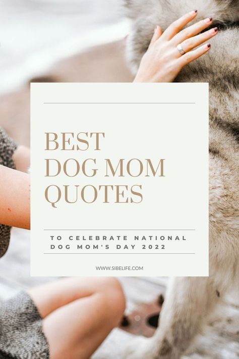 National Dog Mom's Day is such a special day for us dog moms! So, in honor of this upcoming National Dog Mom's Day, I put together 85 dog mom quotes to celebrate us! Share these heartwarming dog mom quotes with your dog mom friends or use them for your Instagram caption! #dogmomquotes #dogmomlife #dogquotes #dogmomsayings Instagram, Dog Mama Quotes, Dog Mom Quotes, Dog Mom Gifts, Dog Mothers Day, Spoiled Dog Quotes, Dog Mom Quotes Humor, Dog Mommy, Dog Lover Quotes