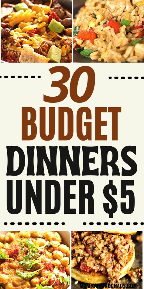 Cheap Dinners, Cheap Meals, Cheap Healthy Meals, Cheap Dinner Recipes Healthy, Cheap Dinner Recipes, Cheap Recipes, Cheap Healthy, Dump Meals, Frugal Meals