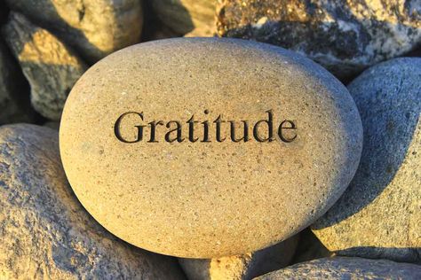 Meditation, Karma, Gratitude, Gratitude Quotes, Daily Gratitude, Gratitude Meditation, Thankful, Gratitude Day, Practice Gratitude