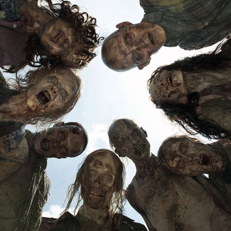A crowd of zombies, known as "walkers," on AMC's The Walking Dead. Walking Dead, Daryl Dixon, Horror, Walkers, Rick Grimes, The Walking Dead, Fear The Walking, Fear The Walking Dead, Walking Dead Zombies
