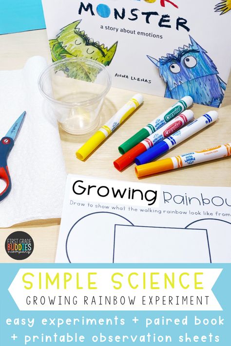 This experiment gives plenty of observation time as kiddos watch 2 sides of a rainbow grow together and make one big rainbow!  Find more about this experiment here! Science Projects, Primary School Education, Ideas, Science Lessons, Easy Science, Elementary School Science, Learning Science, Activities, Science