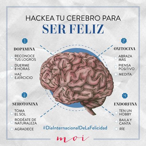 ¿Es posible eso de hackear nuestra mente para ser feliz? Aquí te explicamos cómo entrenar a tu mente para ver la vida de forma diferente. Motivation, Frases, Feliz, Ser Feliz, Positivity, Self Care, Positive Psychology