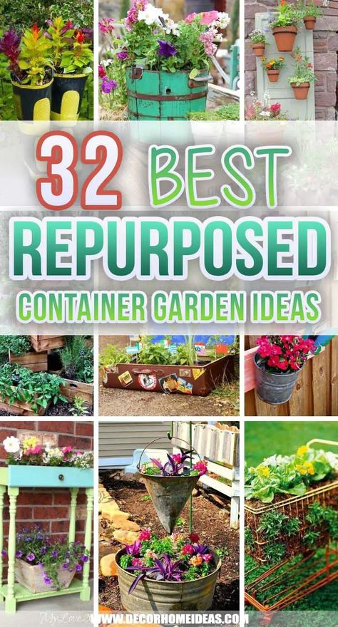 Cactus, Windows, Design, Yard Art, Diy Planters Outdoor, Diy Planter Box, Repurposed Planter, Recycled Garden Planters, Upcycled Planter