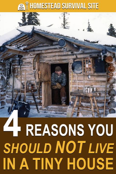Before you purchase and move into a tiny house, be sure to consider these four reasons why you may not want to live in a tiny house. #homesteadsurvivalsite #tinyhouse #offgrid #frugalliving #minimalism Design, Inspiration, Decoration, Tiny House Design, Home Décor, Homestead Survival, Buy A Tiny House, Tiny House Cabin, Homesteading